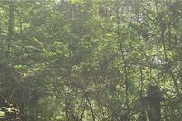 Undeveloped Land for sale in Russell County, Alabama