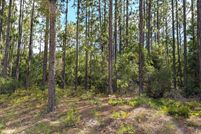 Undeveloped Land for sale in Clay County, Florida