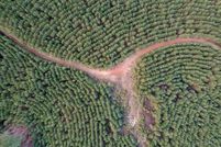 Property for sale in Buckingham County, Virginia