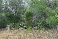 Undeveloped Land for sale in Citrus County, Florida
