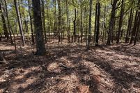 Waterfront Property for sale in Tallapoosa County, Alabama
