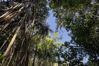 Property for sale in Hawaii County, Hawaii