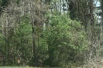 Undeveloped Land for sale in Tallapoosa County, Alabama