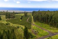 Farm Property for sale in Hawaii County, Hawaii