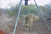 Property for sale in Duval County, Texas