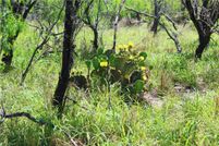 Property for sale in Kleberg County, Texas