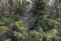 Property for sale in Hawaii County, Hawaii