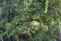 Undeveloped Land for sale in Marion County, Florida
