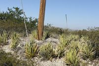 Property for sale in El Paso County, Texas