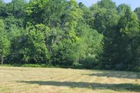 Undeveloped Land for sale in Alcona County, Michigan