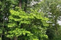 Property for sale in Caroline County, Virginia