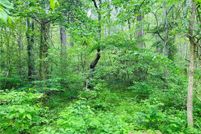 Property for sale in Hanover County, Virginia