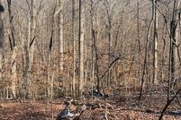 Property for sale in Oconee County, South Carolina