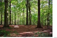 Property for sale in Prince George County, Virginia