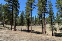 Property for sale in Douglas County, Nevada