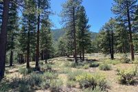 Property for sale in Douglas County, Nevada