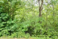 Undeveloped Land for sale in Anderson County, South Carolina