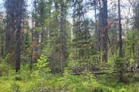 Undeveloped Land for sale in Flathead County, Montana