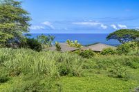 Undeveloped Land for sale in Hawaii County, Hawaii