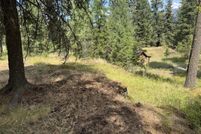 Undeveloped Land for sale in Sanders County, Montana