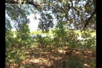 Property for sale in Putnam County, Florida