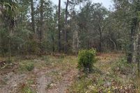 Undeveloped Land for sale in Levy County, Florida