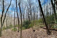 Property for sale in Buncombe County, North Carolina