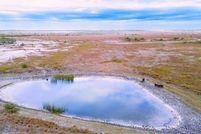 Property for sale in Atascosa County, Texas