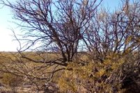 Property for sale in Hudspeth County, Texas