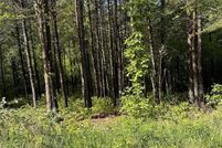 Property for sale in Rutherford County, North Carolina