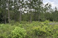 Undeveloped Land for sale in Calhoun County, Florida
