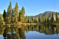 Property for sale in Douglas County, Nevada