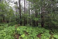 Property for sale in Cheboygan County, Michigan