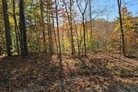 Undeveloped Land for sale in Goochland County, Virginia