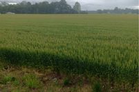 Property for sale in Essex County, Virginia