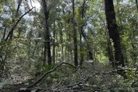 Property for sale in Suwannee County, Florida