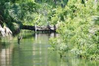 Property for sale in Taylor County, Florida