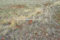 Property for sale in Socorro County, New Mexico