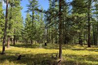 Property for sale in Lincoln County, Montana