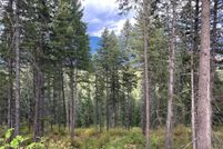 Undeveloped Land for sale in Sanders County, Montana