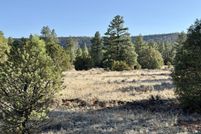 Undeveloped Land for sale in McKinley County, New Mexico