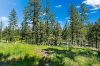 Undeveloped Land for sale in Flathead County, Montana