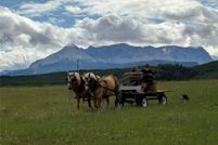 Waterfront Property for sale in Glacier County, Montana