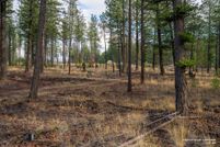 Property for sale in Lincoln County, Montana