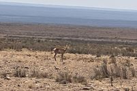 Property for sale in Socorro County, New Mexico