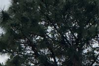 Property for sale in Lee County, Florida