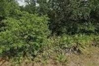 Property for sale in Lee County, Florida