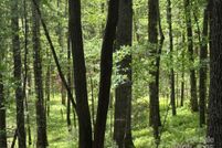 Property for sale in Transylvania County, North Carolina