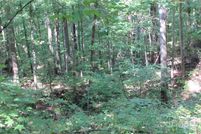 Undeveloped Land for sale in Madison County, North Carolina