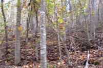 Undeveloped Land for sale in Madison County, North Carolina